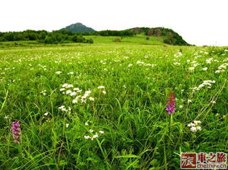 自駕京郊百花山3.jpg