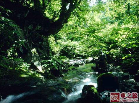 自駕京郊百花山4.jpg