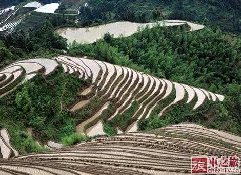 龍脊梯田2.jpg